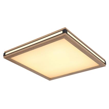 Globo - LED-kattovalaisin LED/24W/230V 45x45 cm