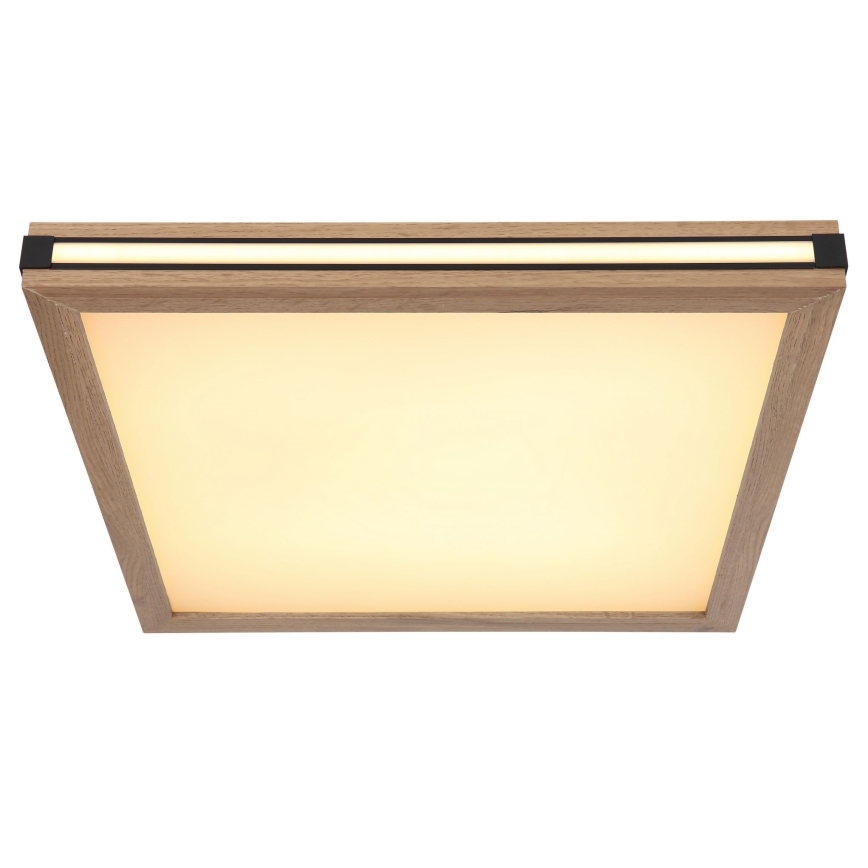 Globo - LED-kattovalaisin LED/24W/230V 45x45 cm