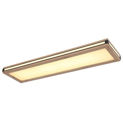 Globo - LED-kattovalaisin LED/24W/230V 20x80 cm