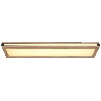 Globo - LED-kattovalaisin LED/24W/230V 20x80 cm