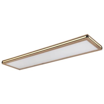 Globo - Himmennettävä LED-kattovalaisin LED/36W/230V 3000K 30x120 cm