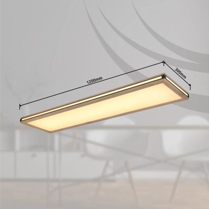 Globo - Himmennettävä LED-kattovalaisin LED/36W/230V 3000K 30x120 cm