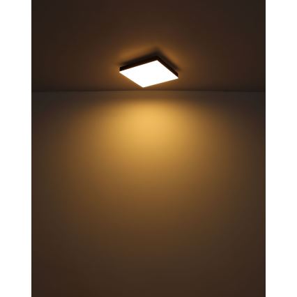Globo - Himmennettävä LED-kattovalaisin LED/24W/230V 2700-6500K musta + kauko-ohjaus