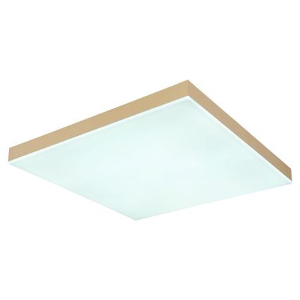 Globo - Himmennettävä LED-kattovalaisin LED/24W/230V 2700-6500K kulta + kauko-ohjaus