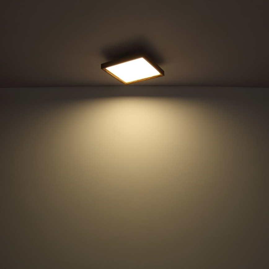 Globo - LED Kattovalo LED/24W/230V 45cm 2700/4500/6500K