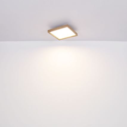 Globo - LED Kattovalo LED/24W/230V 45cm 2700/4500/6500K