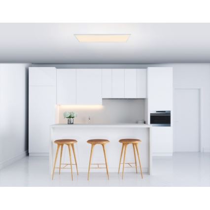 Globo - LED-kattovalaisin LED/40W/230V