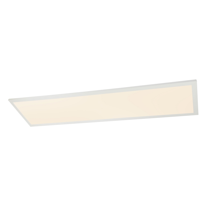 Globo - LED-kattovalaisin LED/40W/230V