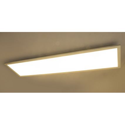 Globo - LED-kattovalaisin LED/40W/230V