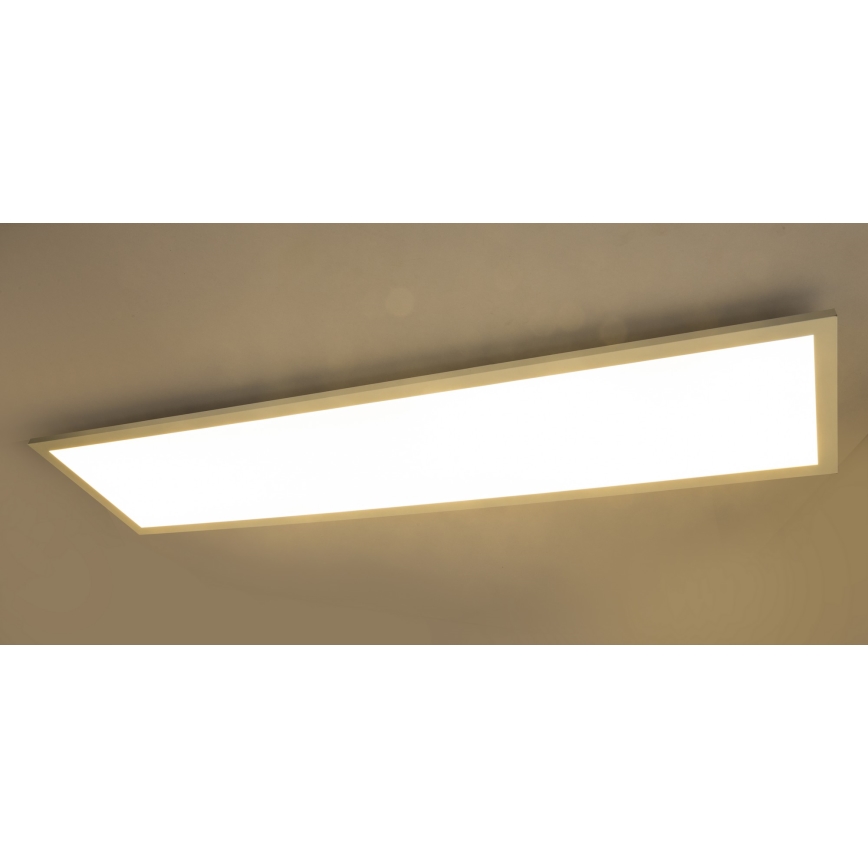 Globo - LED-kattovalaisin LED/40W/230V