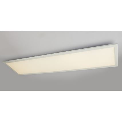 Globo - LED-kattovalaisin LED/40W/230V