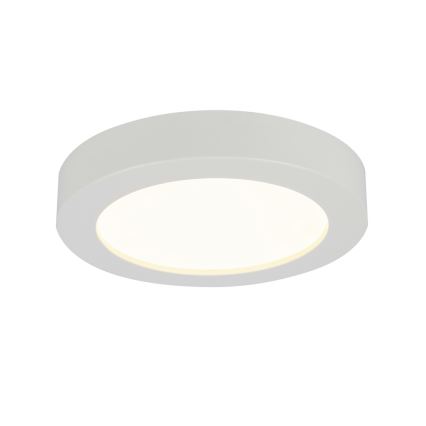 Globo - LED-kattovalaisin kylpyhuoneessa 1xLED/18W/230V IP44