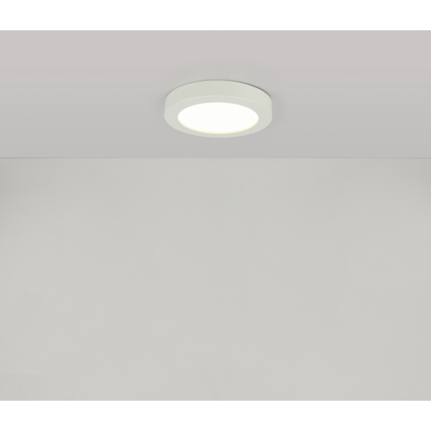 Globo - LED-kattovalaisin kylpyhuoneessa 1xLED/18W/230V IP44