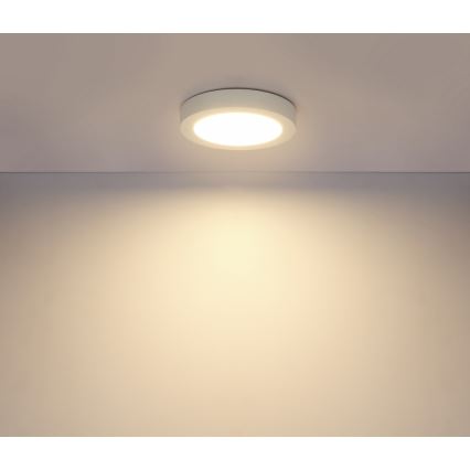 Globo - LED-kattovalaisin kylpyhuoneessa 1xLED/18W/230V IP44