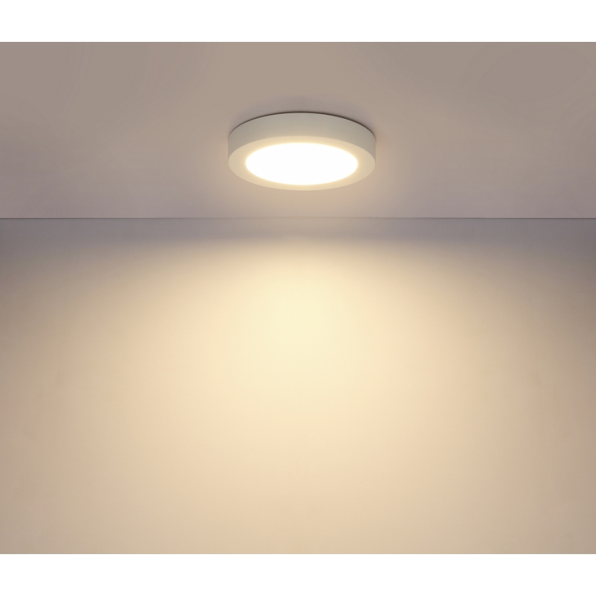 Globo - LED-kattovalaisin kylpyhuoneessa 1xLED/18W/230V IP44