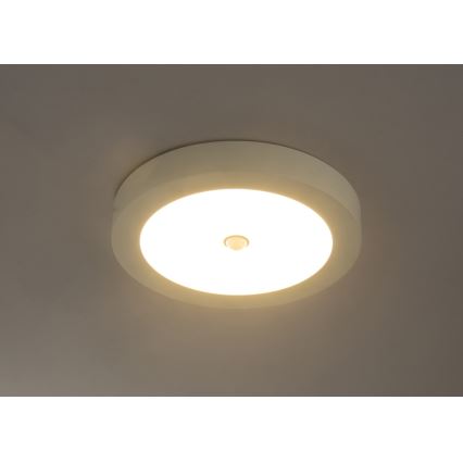 Globo - LED-ulkokattovalaisin anturilla 1xLED/18W/230V IP44