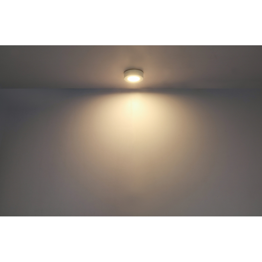 GLOBO - LED-kattovalaisin LED/6W/230V