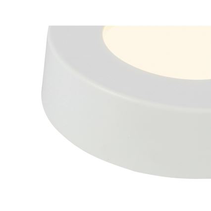 GLOBO - LED-kattovalaisin LED/6W/230V