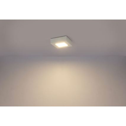 Globo - LED-kattovalaisin SVENJA 1xLED/9W/230V 3000/4000/6000K