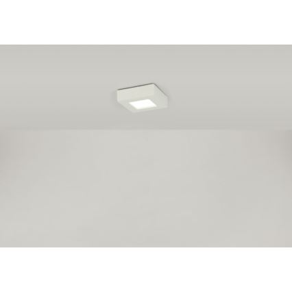Globo - LED-kattovalaisin SVENJA 1xLED/9W/230V 3000/4000/6000K