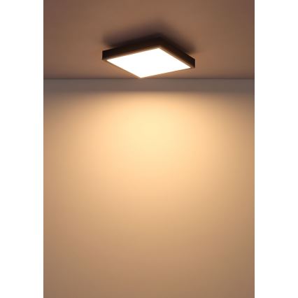 Globo - LED-kattovalaisin LED/12W/230V 3000K 30x30 cm