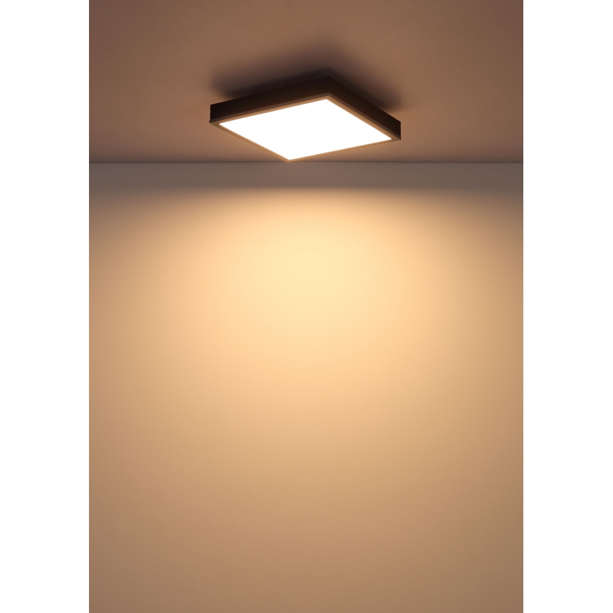 Globo - LED-kattovalaisin LED/12W/230V 3000K 30x30 cm