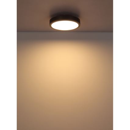 Globo - LED-kattovalaisin LED/12W/230V 3000K halkaisija 30 cm
