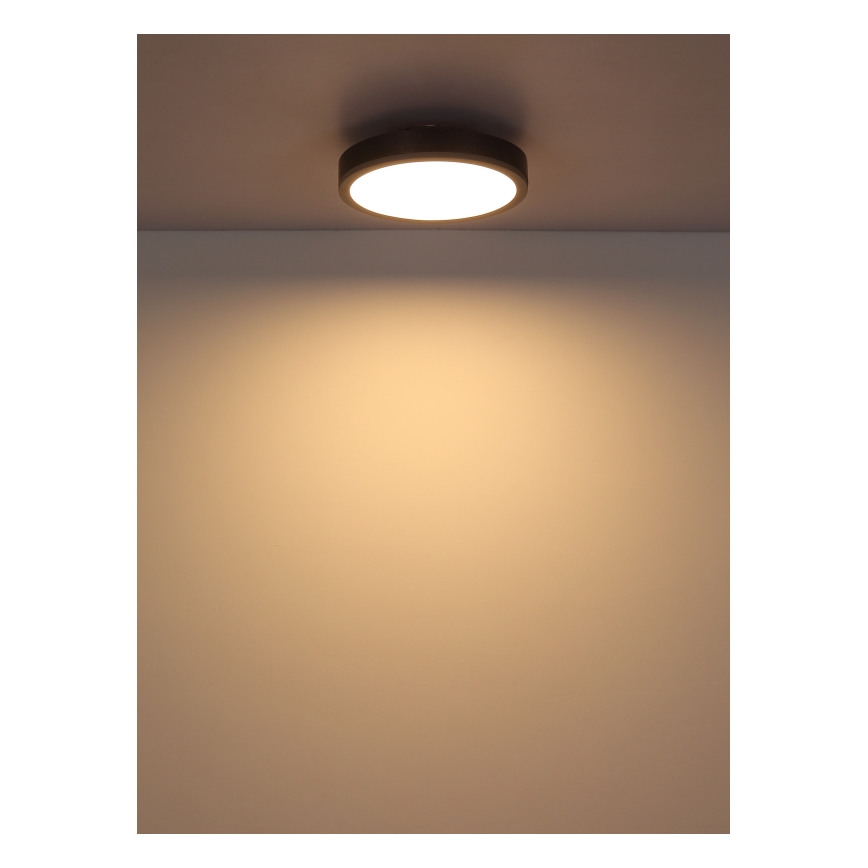 Globo - LED-kattovalaisin LED/12W/230V 3000K halkaisija 30 cm