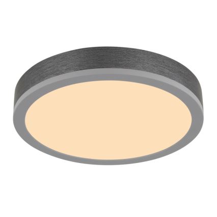 Globo - LED-kattovalaisin LED/12W/230V 3000K halkaisija 30 cm