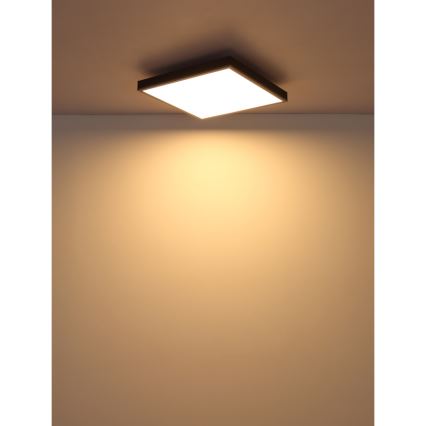 Globo - LED-kattovalaisin LED/24W/230V 3000K 45x45 cm