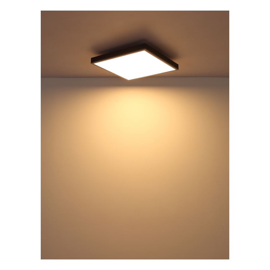 Globo - LED-kattovalaisin LED/24W/230V 3000K 45x45 cm