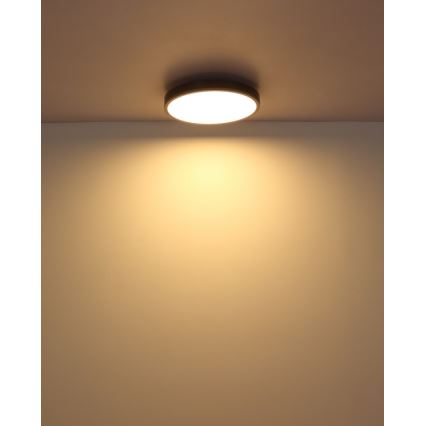 Globo - LED-kattovalaisin LED/24W/230V 3000K halkaisija 45 cm