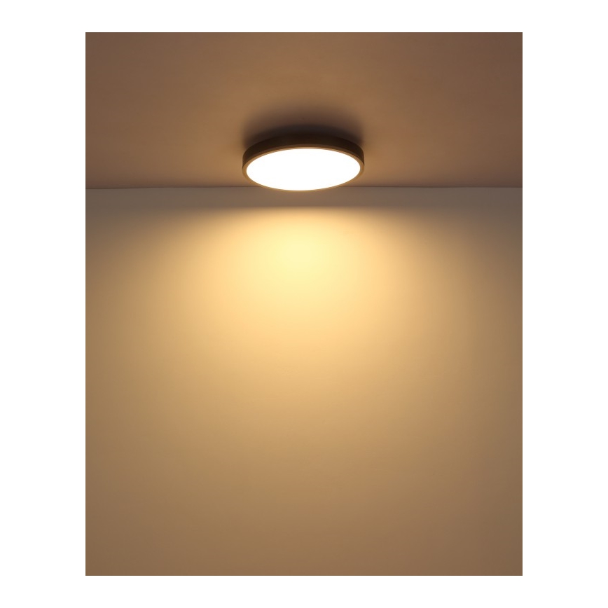 Globo - LED-kattovalaisin LED/24W/230V 3000K halkaisija 45 cm