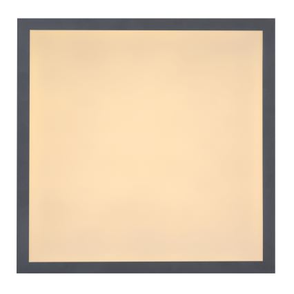 Globo - LED-kattovalaisin LED/12W/230V