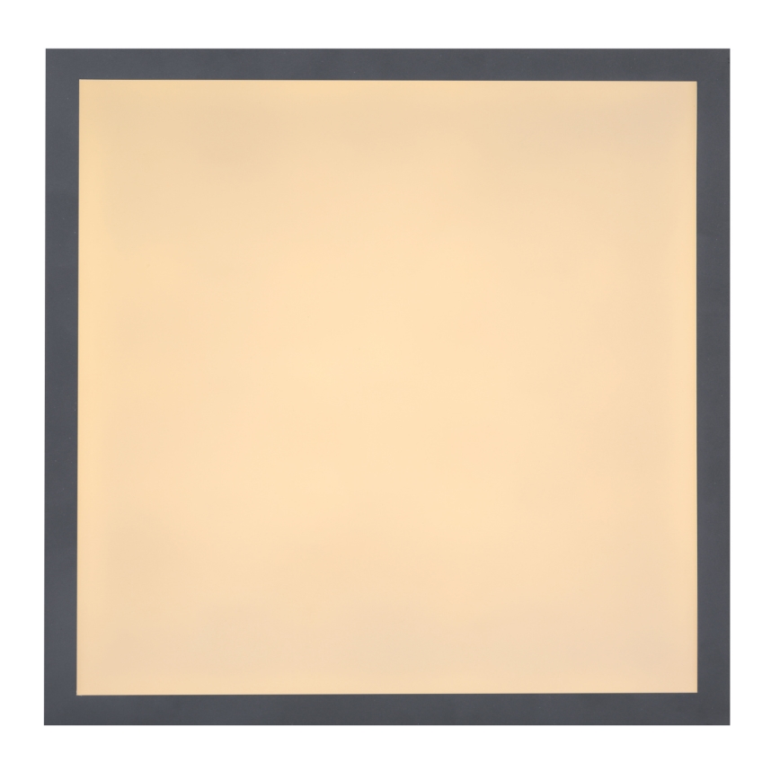 Globo - LED-kattovalaisin LED/12W/230V
