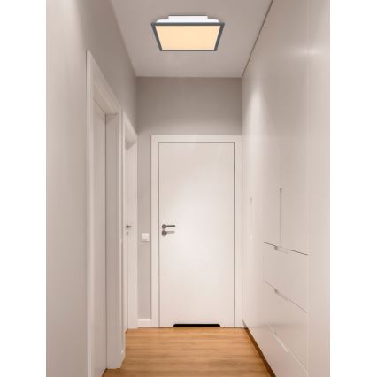 Globo - LED-kattovalaisin LED/12W + LED/4W/230V