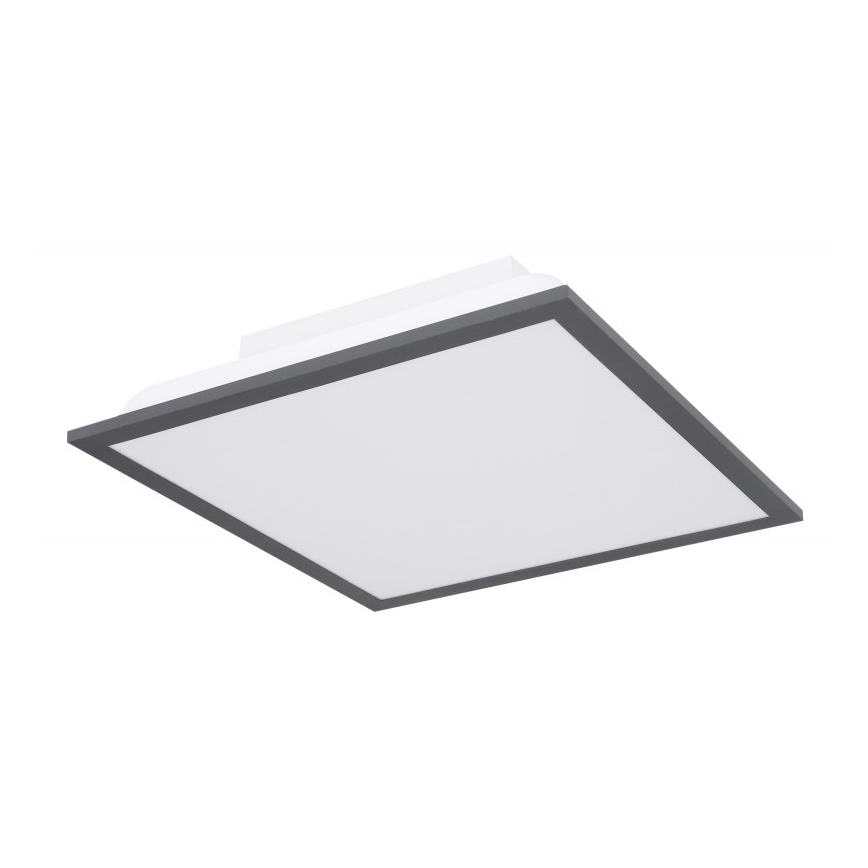 Globo - LED-kattovalaisin LED/12W + LED/4W/230V