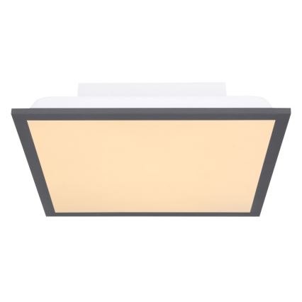 Globo - LED-kattovalaisin LED/12W + LED/4W/230V