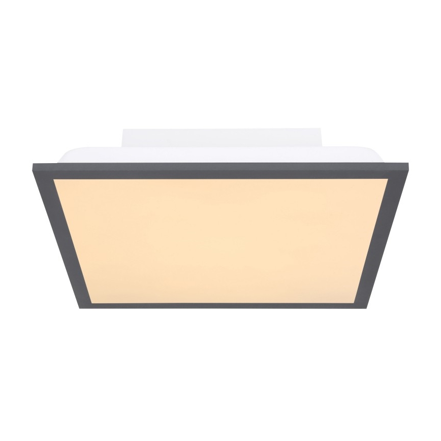 Globo - LED-kattovalaisin LED/12W + LED/4W/230V