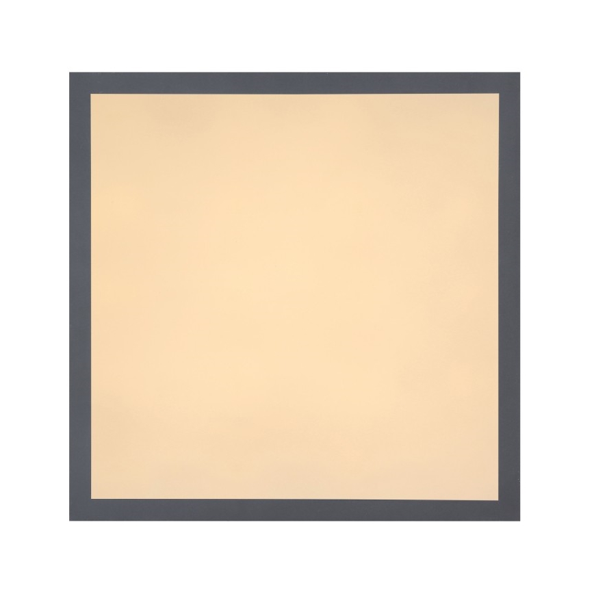 Globo - LED-kattovalaisin LED/12W + LED/4W/230V