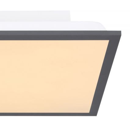 Globo - LED-kattovalaisin LED/12W + LED/4W/230V