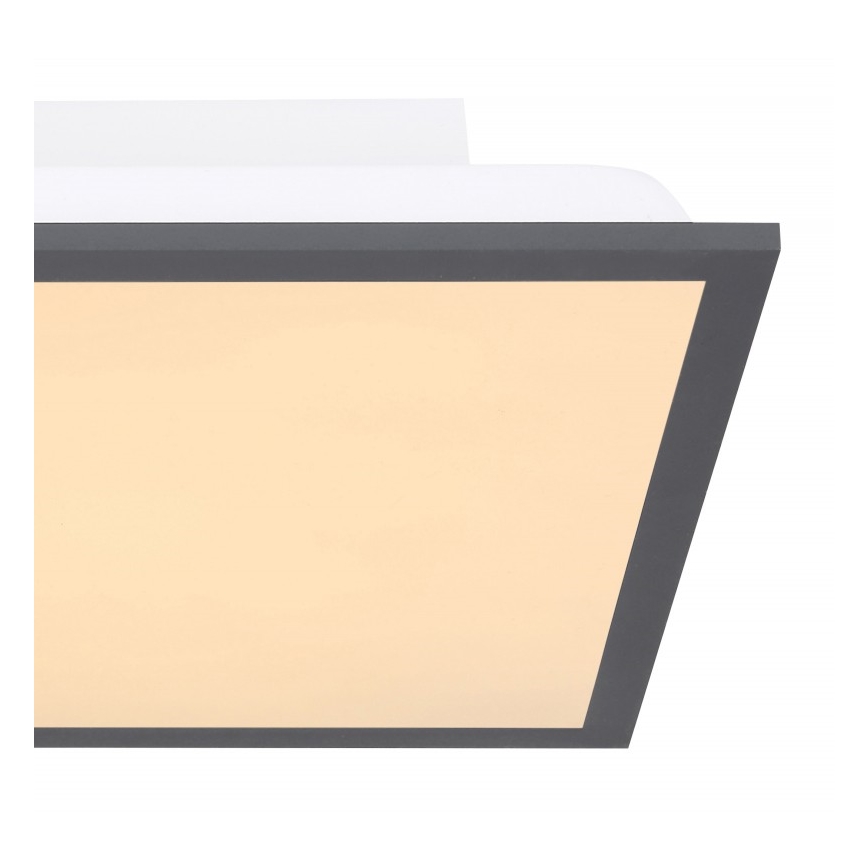 Globo - LED-kattovalaisin LED/12W + LED/4W/230V