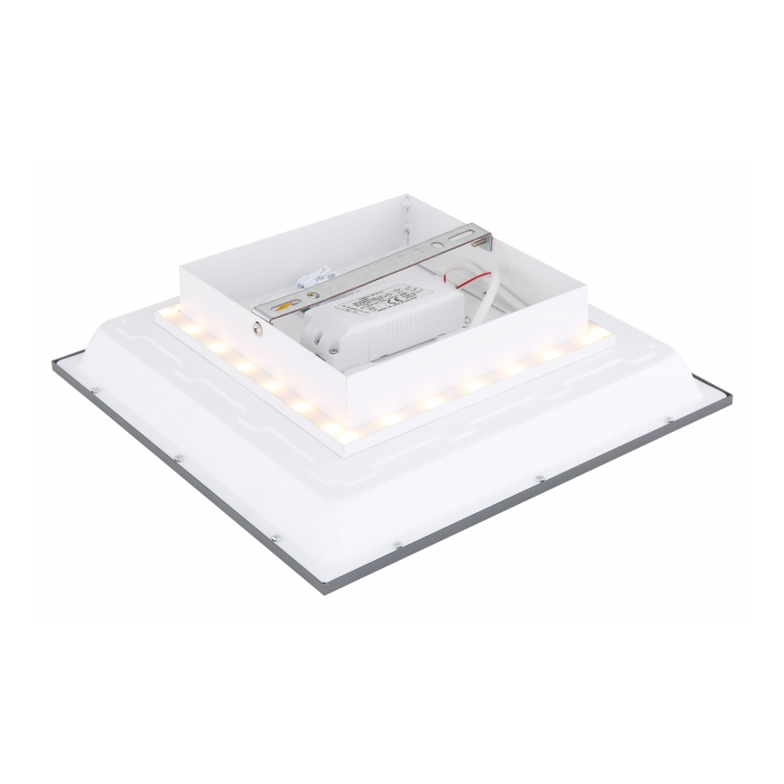 Globo - LED-kattovalaisin LED/12W + LED/4W/230V