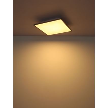 Globo - LED-kattovalaisin LED/24W/230V