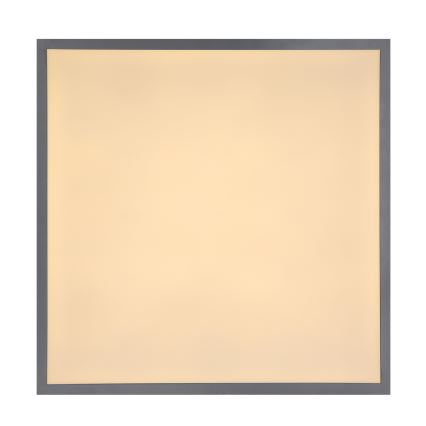 Globo - LED-kattovalaisin LED/24W/230V