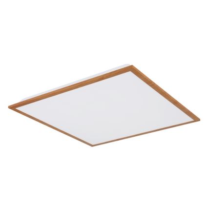 Globo - LED-kattovalaisin LED/24W/230V