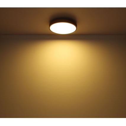 Globo - LED Kattovalo LED/12W/230V d. 30 cm