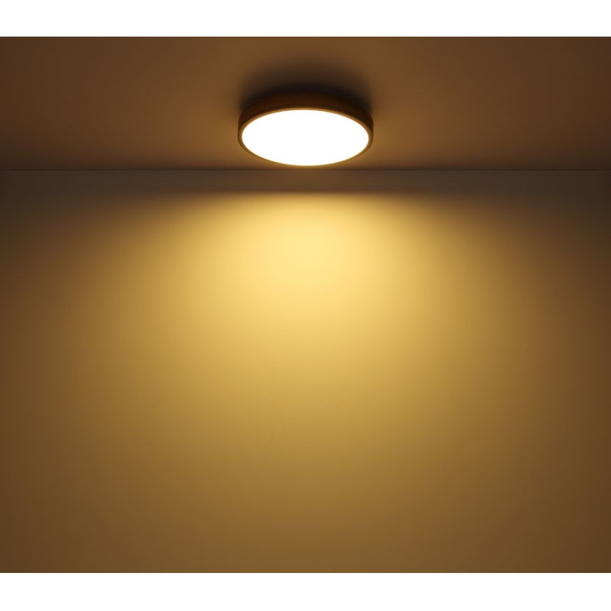 Globo - LED Kattovalo LED/12W/230V d. 30 cm