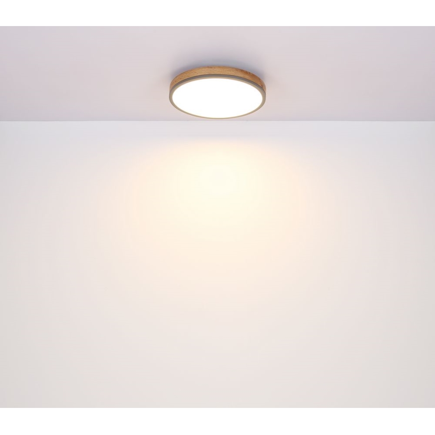 Globo - LED Kattovalo LED/12W/230V d. 30 cm