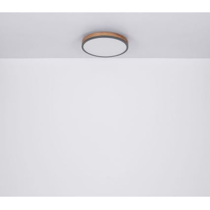 Globo - LED Kattovalo LED/12W/230V d. 30 cm